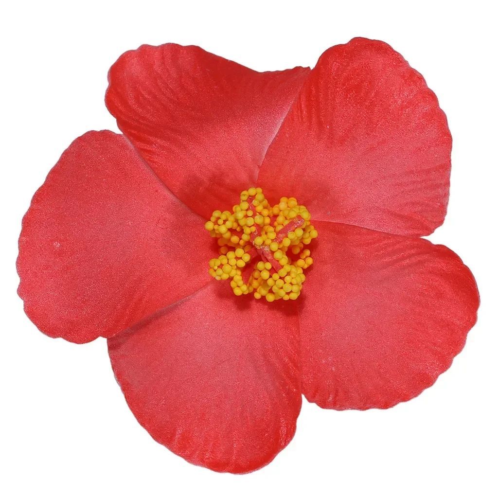 Barrette à cheveux bohème à fleurs pour les vacances à la plage
