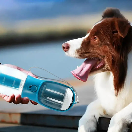 Fournitures pour animaux de compagnie trois en un