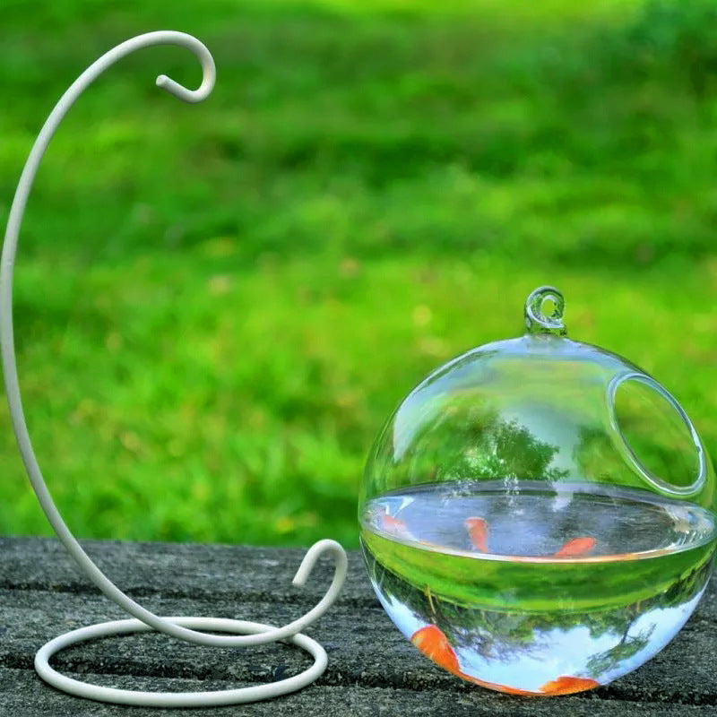 Vase en verre suspendu pour aquarium