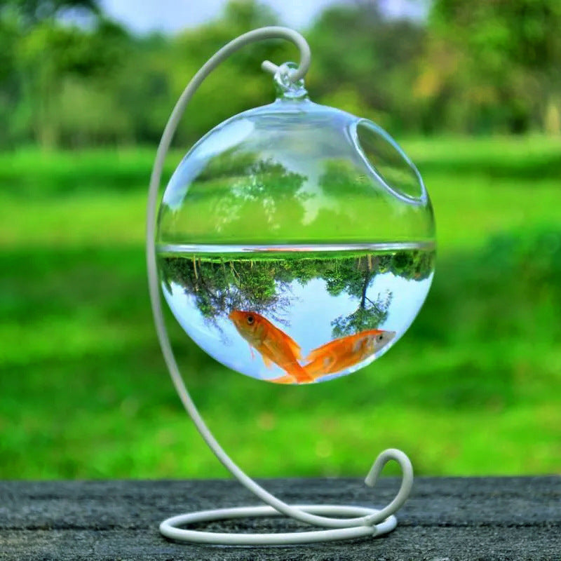 Vase en verre suspendu pour aquarium